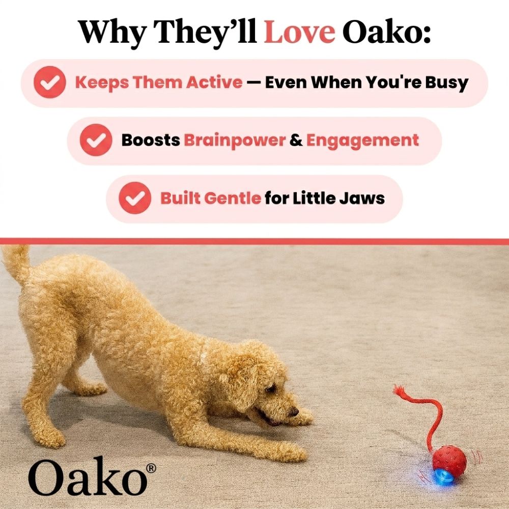 Oako Pet Toy