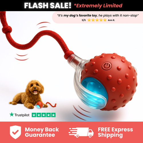 Oako Pet Toy